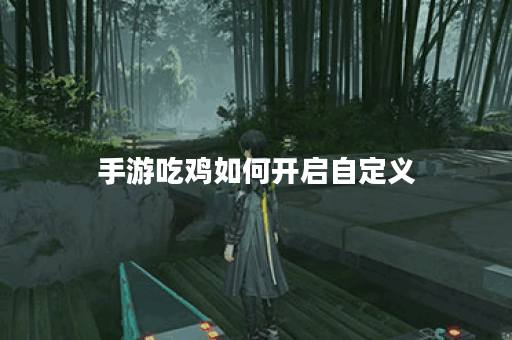手游吃鸡如何开启自定义
