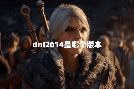 dnf2014是哪个版本