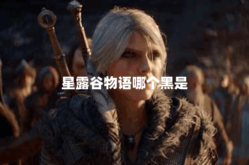 星露谷物语哪个黑是