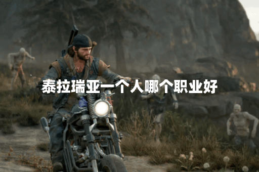 泰拉瑞亚一个人哪个职业好