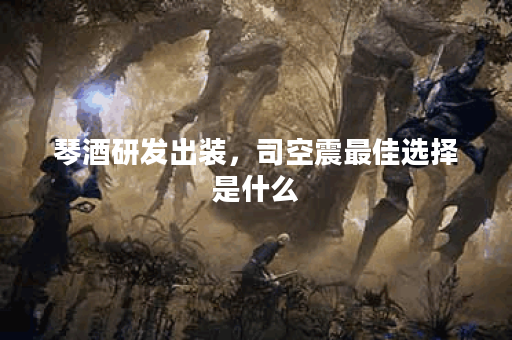 琴酒研发出装，司空震最佳选择是什么？