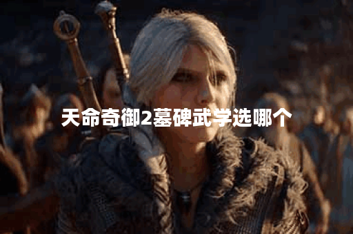 天命奇御2墓碑武学选哪个