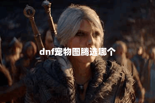 dnf宠物图腾选哪个