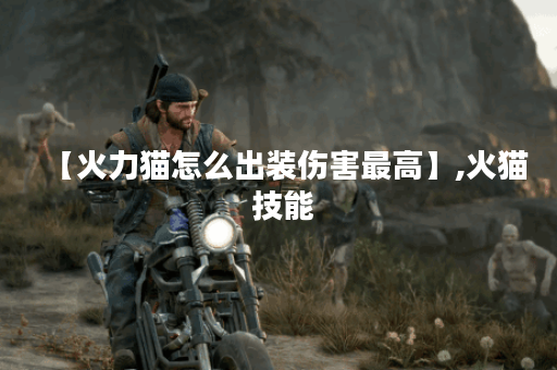 【火力猫怎么出装伤害最高】,火猫 技能