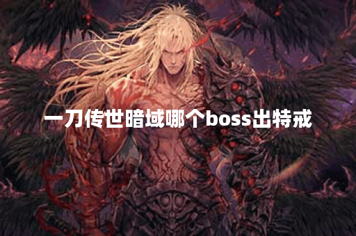 一刀传世暗域哪个boss出特戒