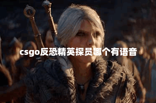 csgo反恐精英探员哪个有语音 csgo反恐精英探员哪个有语音