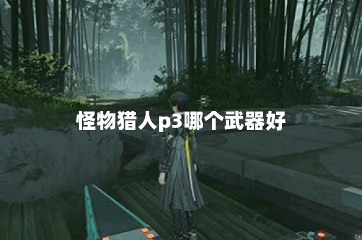 怪物猎人p3哪个武器好