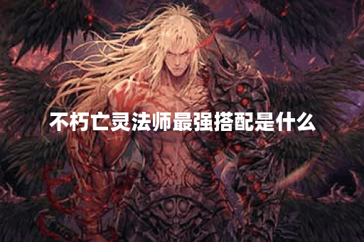 不朽亡灵法师最强搭配是什么？如何提升战斗力？