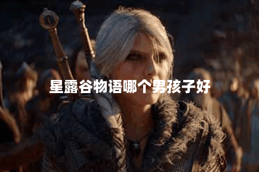 星露谷物语哪个男孩子好 星露谷物语哪个男孩子好