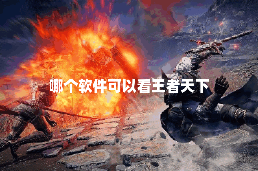 哪个软件可以看王者天下