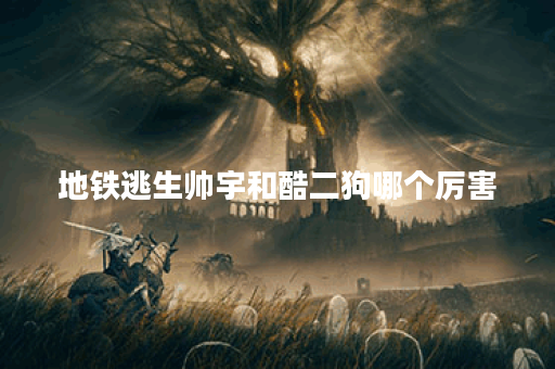 地铁逃生帅宇和酷二狗哪个厉害 地铁逃生帅宇和酷二狗哪个厉害