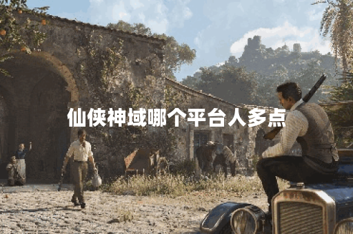 仙侠神域哪个平台人多点