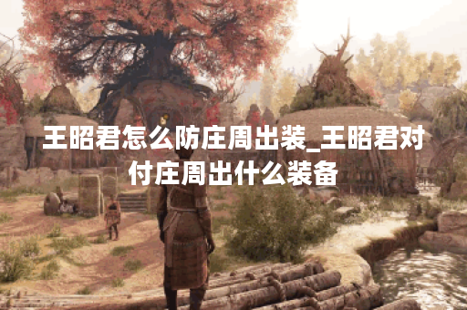 王昭君怎么防庄周出装_王昭君对付庄周出什么装备