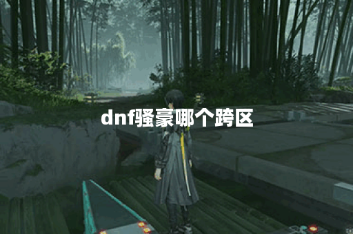 dnf骚豪哪个跨区