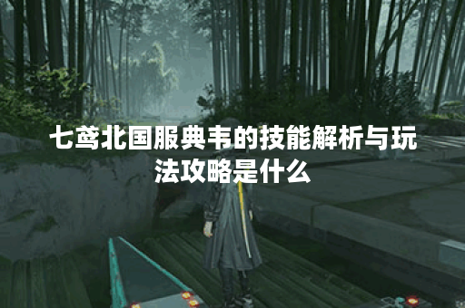 七鸢北国服典韦的技能解析与玩法攻略是什么？