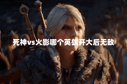 死神vs火影哪个英雄开大后无敌