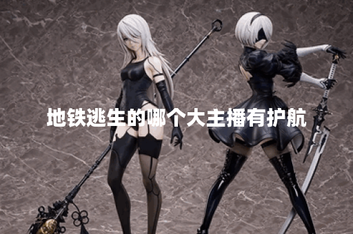 地铁逃生的哪个大主播有护航
