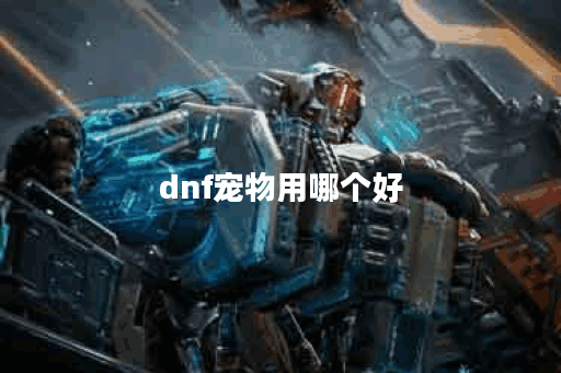 dnf宠物用哪个好