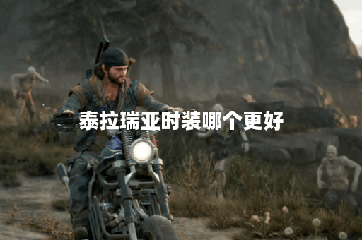 泰拉瑞亚时装哪个更好