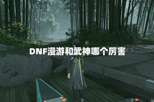 DNF漫游和武神哪个厉害