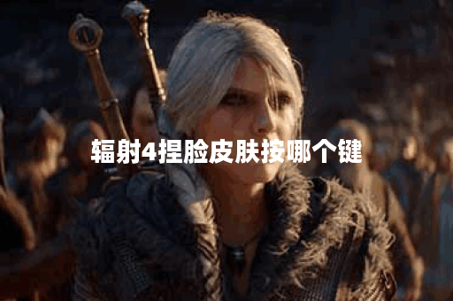 辐射4捏脸皮肤按哪个键