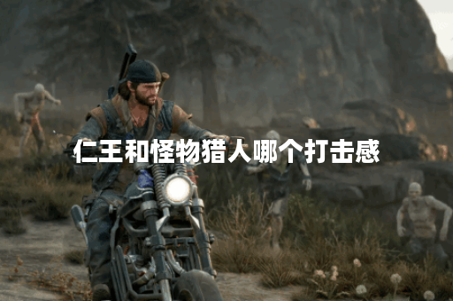 仁王和怪物猎人哪个打击感