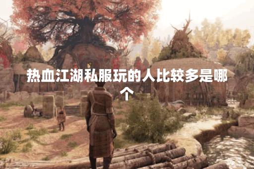 热血江湖私服玩的人比较多是哪个 热血江湖私服玩的人比较多是哪个