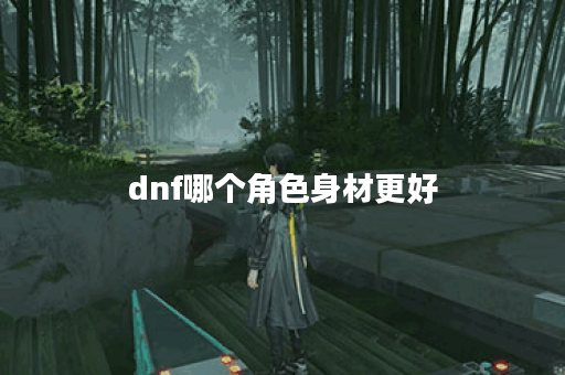 dnf哪个角色身材更好