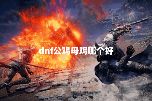 dnf公鸡母鸡哪个好