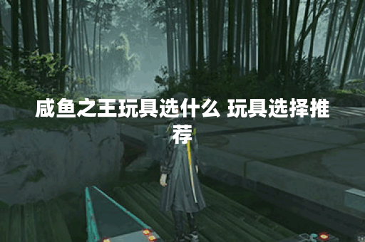 咸鱼之王玩具选什么 玩具选择推荐