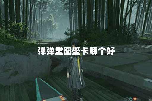弹弹堂图鉴卡哪个好
