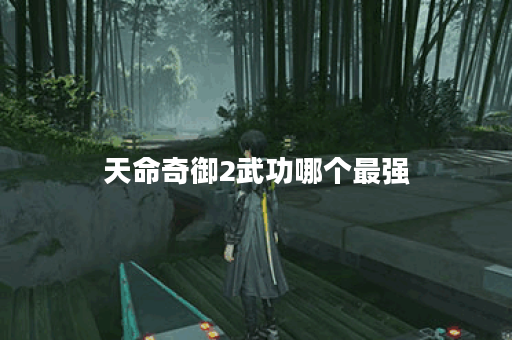 天命奇御2武功哪个最强