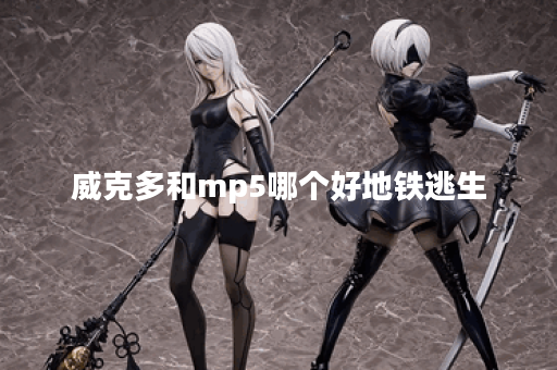 威克多和mp5哪个好地铁逃生