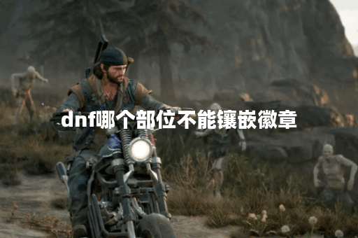 dnf哪个部位不能镶嵌徽章