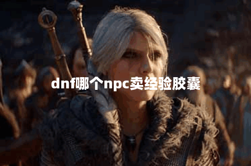 dnf哪个npc卖经验胶囊
