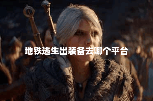 地铁逃生出装备去哪个平台