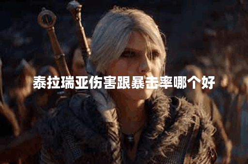 泰拉瑞亚伤害跟暴击率哪个好