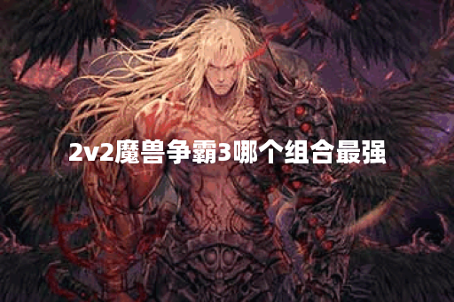 2v2魔兽争霸3哪个组合最强