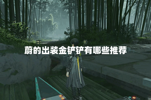 蔚的出装金铲铲有哪些推荐？如何选择适合的装备？