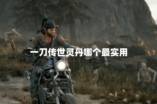 一刀传世灵丹哪个最实用