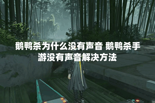 鹅鸭杀为什么没有声音 鹅鸭杀手游没有声音解决方法