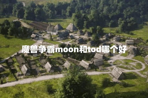 魔兽争霸moon和tod哪个好