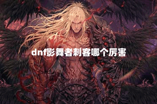 dnf影舞者刺客哪个厉害
