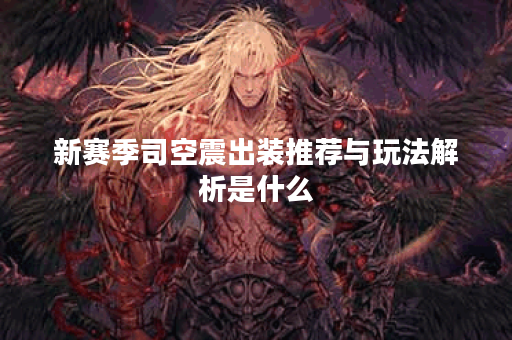 新赛季司空震出装推荐与玩法解析是什么？