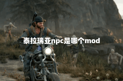 泰拉瑞亚npc是哪个mod