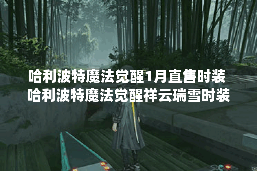 哈利波特魔法觉醒1月直售时装 哈利波特魔法觉醒祥云瑞雪时装一览