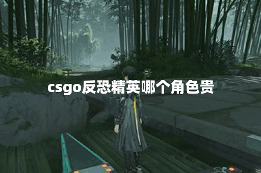 csgo反恐精英哪个角色贵