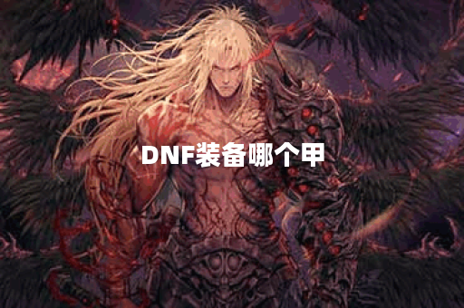 DNF装备哪个甲 DNF装备哪个甲