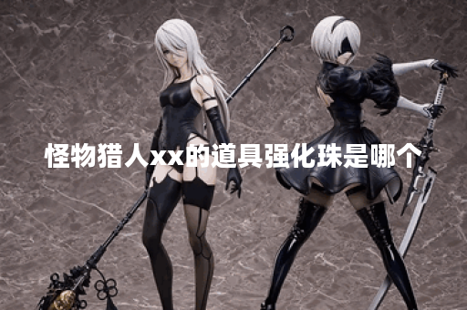 怪物猎人xx的道具强化珠是哪个