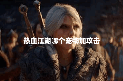 热血江湖哪个宠物加攻击